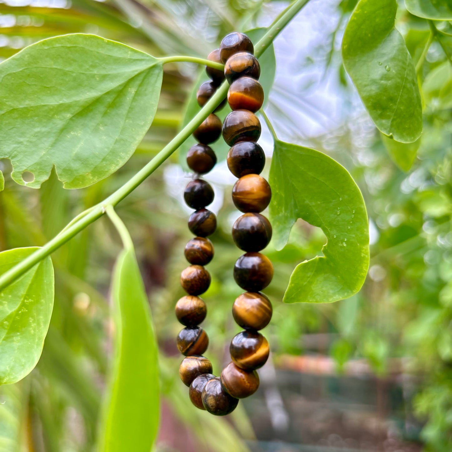 Tiger Eye Bracelet