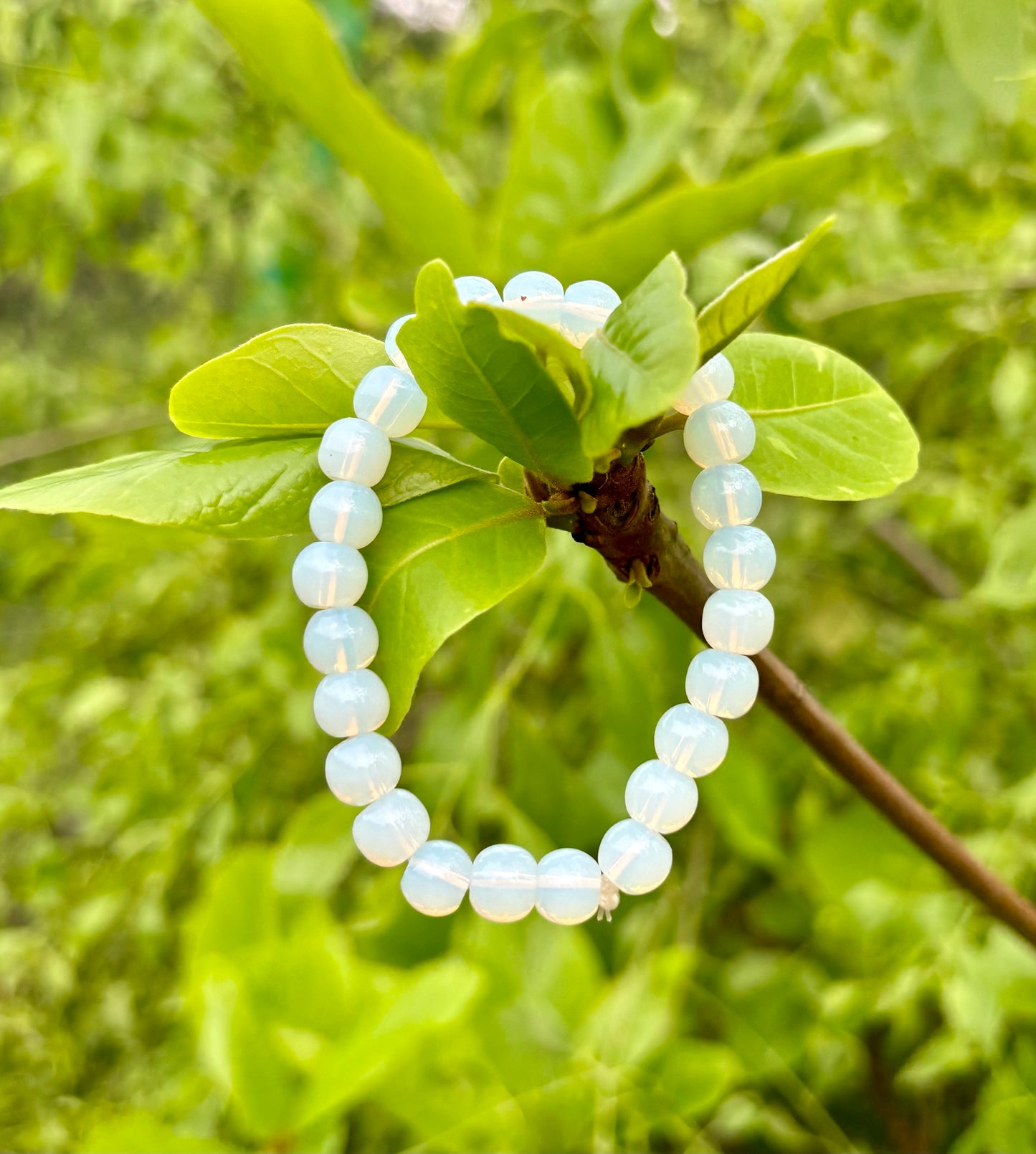 Moonstone Bracelet